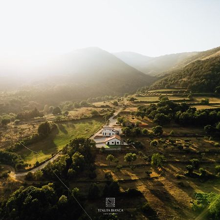Tenuta Bianca Agriresort Sanza Εξωτερικό φωτογραφία