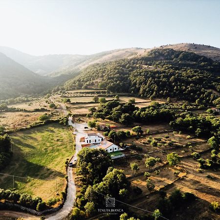 Tenuta Bianca Agriresort Sanza Εξωτερικό φωτογραφία